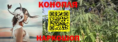 мдпв Рыбинск