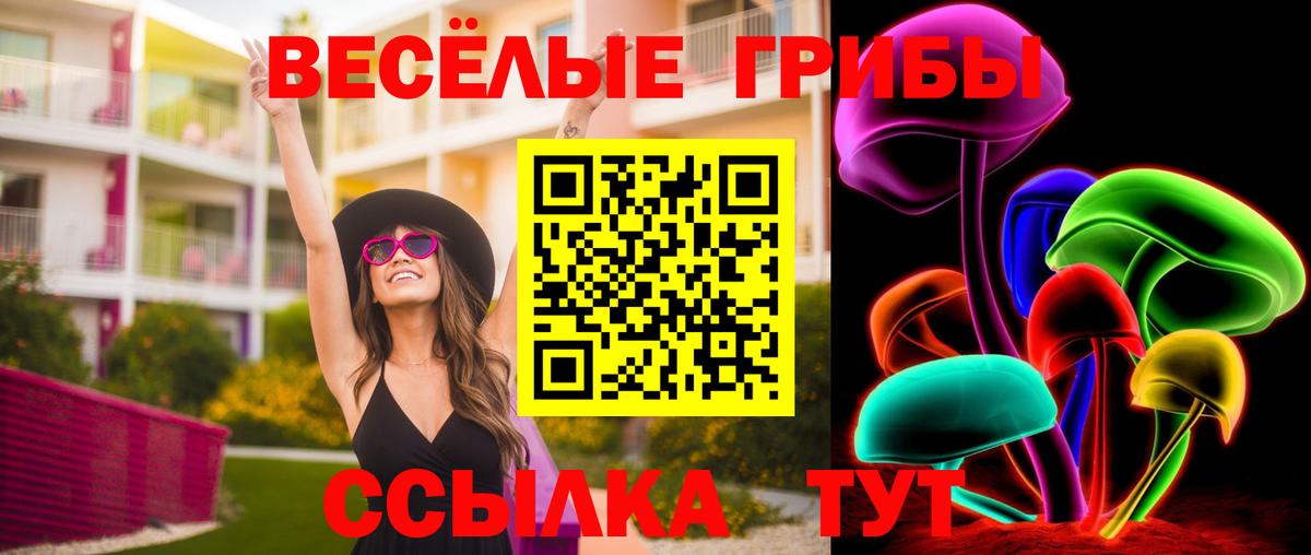 Галлюциногенные грибы Cubensis Сокол